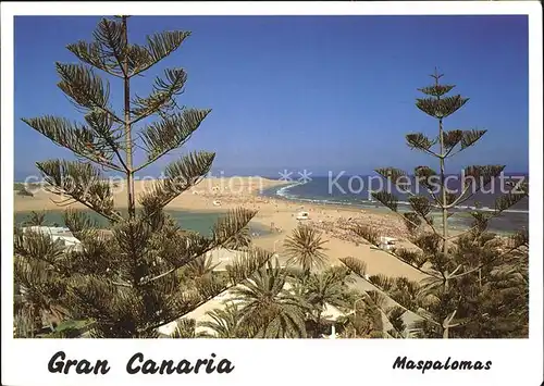 Gran Canaria Maspalomas Kat. Spanien