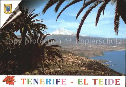 Tenerife El Teide Kat. Islas Canarias Spanien