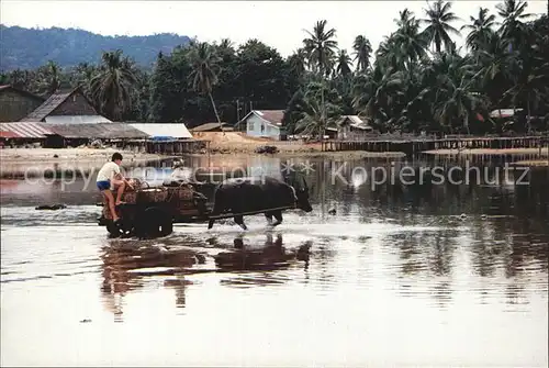 Kuantan Kampung Beserah Kat. Kuantan