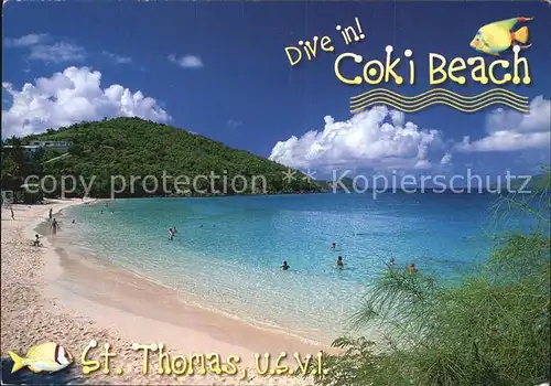 St Thomas Virgin Islands Coki Beach