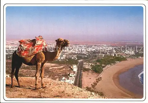 Agadir Camel Strand Kat. Agadir