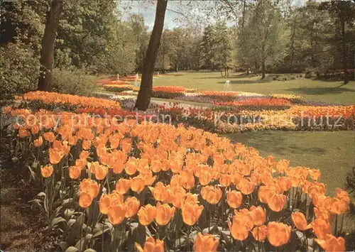 Landau Pfalz Goethepark Kat. Landau in der Pfalz