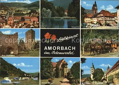 Amorbach Burg Wildenburg Pferdepost Marktplatz Stadtpfarrkirche Campingplatz Kat. Amorbach