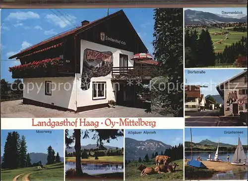 Oy Landgasthof Haag Allgaeuer Alpvieh Daumenblick  Kat. Oy Mittelberg