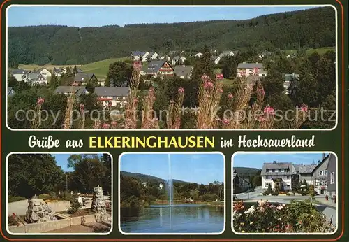 Elkeringhausen Kurort Brunnen Ansicht Kat. Winterberg
