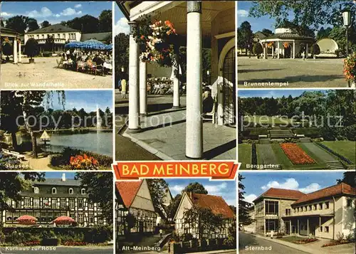 Bad Meinberg Wandelhalle Brunnentempel Stausee Berggarten Kurhaus zur Rose Sternbad Kat. Horn Bad Meinberg