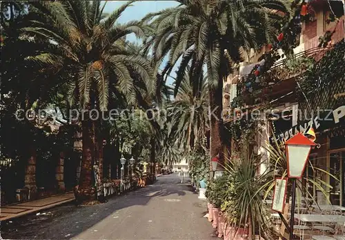 Alassio Blumenriviera Via Cavour Kat. 