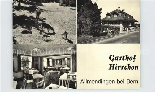 Allmendingen Bern Gasthof Hirschen Gaststube Wildgehege Kat. Allmendingen Bern