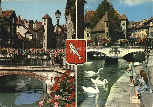 Annecy le Vieux Palais de l Isle Quais fleuris Canal du Thiou Cygnes Enfants Kat. Annecy le Vieux