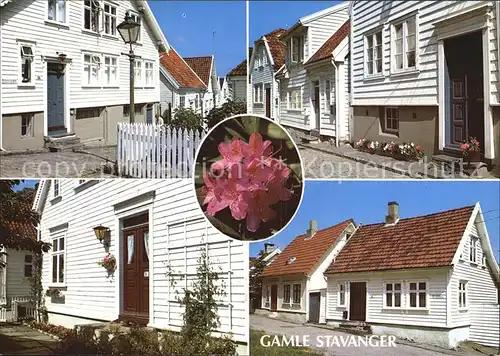 Stavanger Partier fra Gamle Stavanger Altstadt Blume Kat. Stavanger