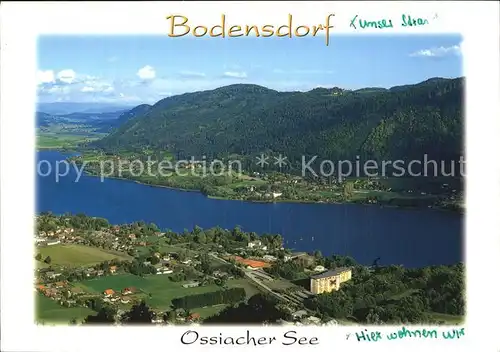 Bodensdorf Steindorf Fliegeraufnahme mit Ossiacher See mit Stift Ossiach Kat. Steindorf am Ossiacher See Kaernten
