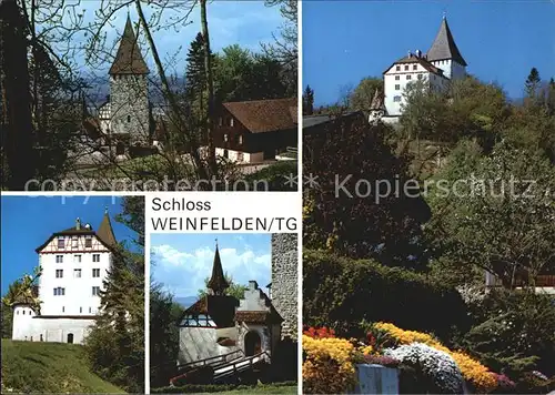 Weinfelden Schloss Weinfelden Teilansichten Kat. Weinfelden