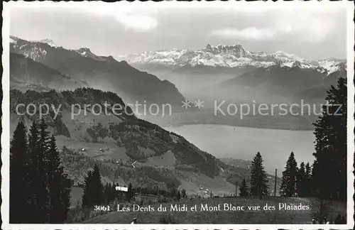 Dents du Midi et Mont Blanc vue des Plaiades Kat. Dents du Midi