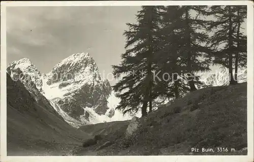 Piz Buin Grond Panorama Kat. Piz Buin Grond