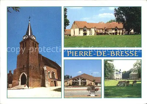 Pierre de Bresse Eglise Maison de retraite Salle des Fetes Parc du Chateau des daims Kat. Pierre de Bresse
