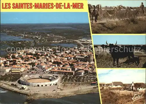 Les Saintes Maries de la Mer Les arenes Eglise fortifiee les marais vue aerienne chevaux des taureaux maisons camarguaises