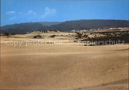 Maspalomas Duenen Landschaftspanorama Kat. Gran Canaria Spanien