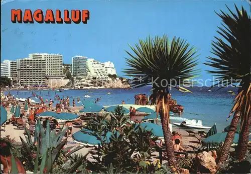 Magalluf Playa Strand Palmen Hotels Kat. Spanien