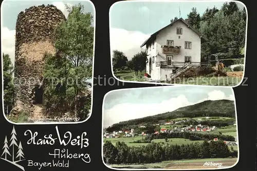 Auberg Rimbach Burgruine Lichtenegg Pension Haus Weiss Panorama Bayerischer Wald
