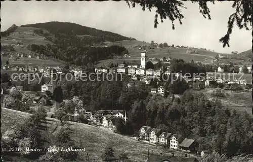 Heiden AR Panorama Kat. Heiden