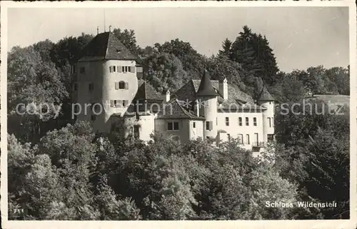 Lampenberg Schloss Wildenstein Kat. Lampenberg