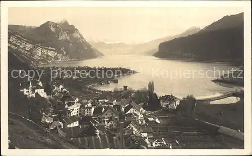 Weesen Walensee Panorama