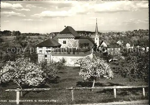 Amriswil TG Schloss Hagenwil Kat. Amriswil