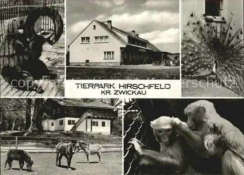Hirschfeld Zwickau Tierpark Esel Affe Pfau Kat. Hirschfeld Zwickau