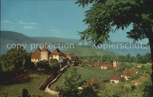 Erlach BE Cerlier und Peterinsel Kat. Erlach Cerlier