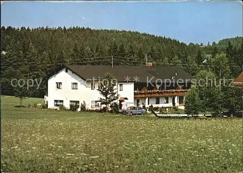 Auerkiel Viechtach Pension Waldblick Kat. Viechtach