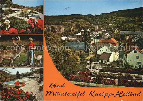 Bad Muenstereifel Blick vom Wehrgang am Wallgraben Kat. Bad Muenstereifel