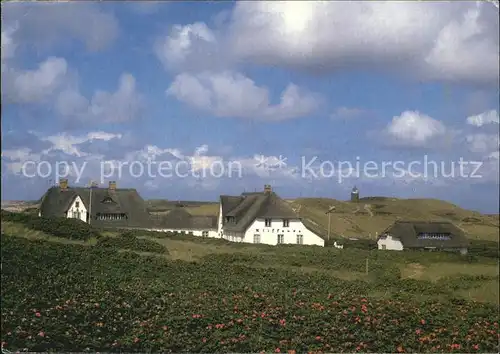 Kampen Sylt Haeuser in den Duenen Kat. Kampen (Sylt)