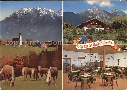 Piding Berggaststaette Neubichler Alm am Hoegl Alpenblick Haflinger Pferde Kat. Piding