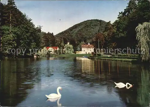 Bad Bergzabern Schwanenweiher mit Schwaenen Kat. Bad Bergzabern