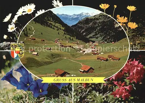 Malbun Panorama Alpenflora Kat. Triesenberg Liechtenstein