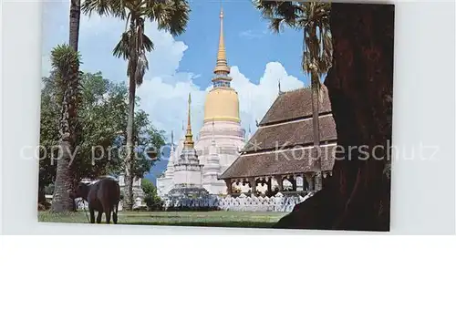 Chiengmai Wat Suandok Tempel