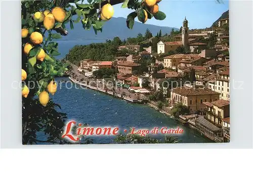 Limone Lago di Garda Zitronenbaum Uferstrasse Gardasee