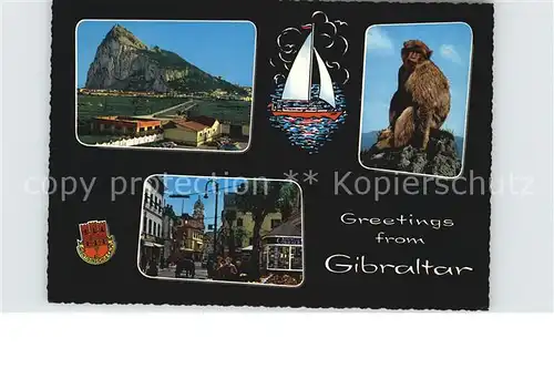 Gibraltar Felsen Affe Ortsmotiv Kat. Gibraltar