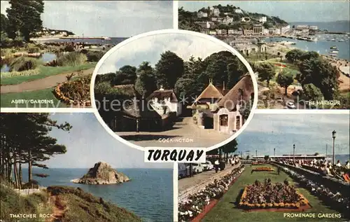Torquay Torbay Hafen Thatcher Rock Promenade Gardens Kat. Torbay