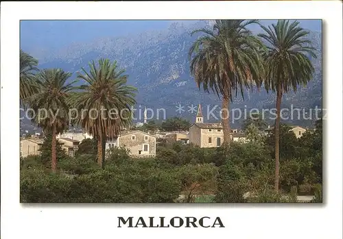 Mallorca Panorama Kat. Spanien