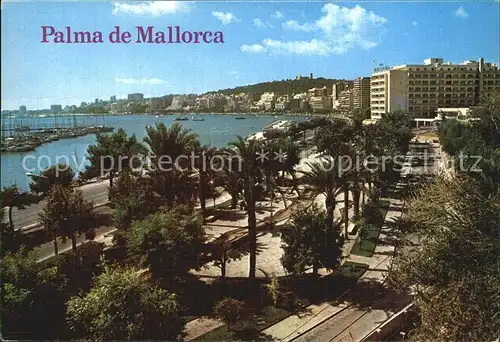 Palma de Mallorca Paseo Maritimo Kat. Palma de Mallorca