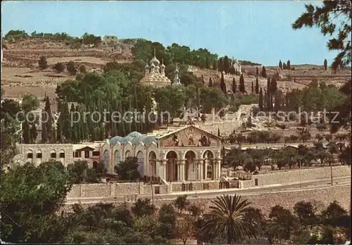 Jerusalem Yerushalayim Basilica and Gardens of Gethsemane Kat. Israel