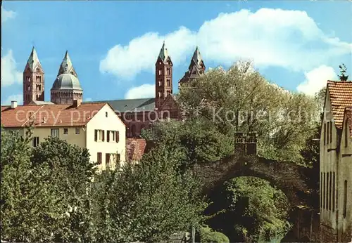 Speyer Rhein Blick zum Kaiserdom und Riegel Kat. Speyer