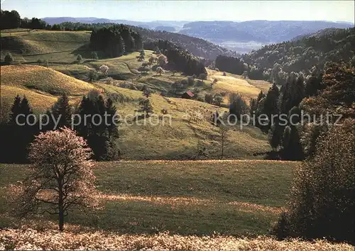 Sitzberg Panorama  Kat. Turbenthal