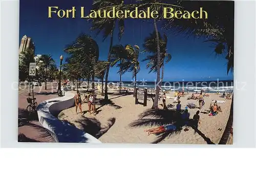 Fort Lauderdale Beach Palmtrees Kat. Fort Lauderdale
