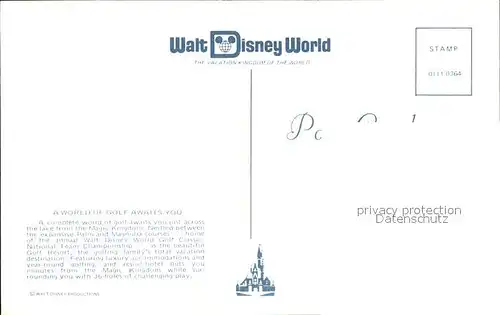 Walt Disney World Fliegeraufnahme Kat. Lake Buena Vista
