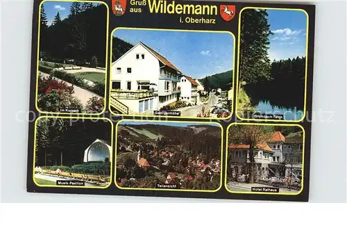 Wildemann Kurpark Musikpavillon Georgenhoehe Hotel Restaurant Grumbachteich Kat. Wildemann Harz