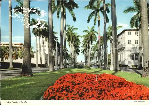 Palm Beach Royal Palm Way Kat. Palm Beach