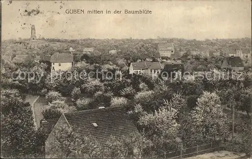 Guben Panorama Baumbluete Kat. Guben