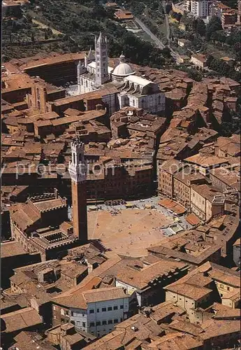 Siena Piazza del Campo Torre del Mangia Cattedrale veduta aerea Kat. Siena